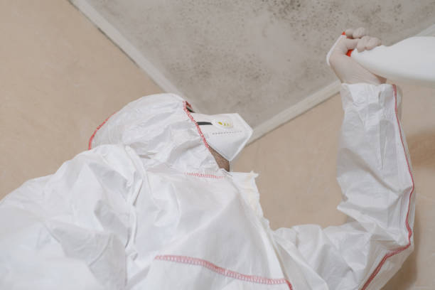 Water Damage Restoration in Rosedale, CA