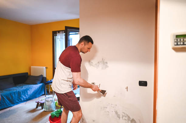 Mold Testing and Removal in Rosedale, CA