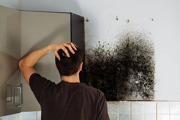 Best Crawl Space Mold Removal  in Rosedale, CA
